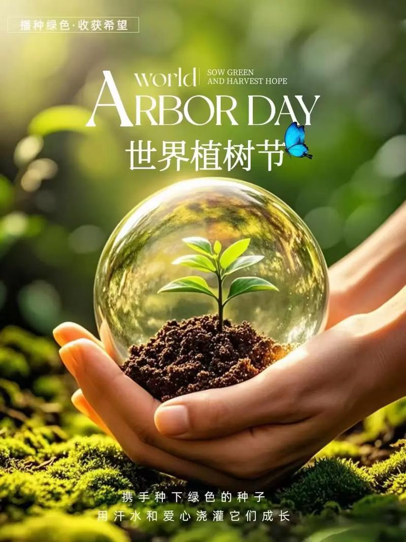 ����ֲ���ڣ����ֵĲ�ֻ����������ϣ��������